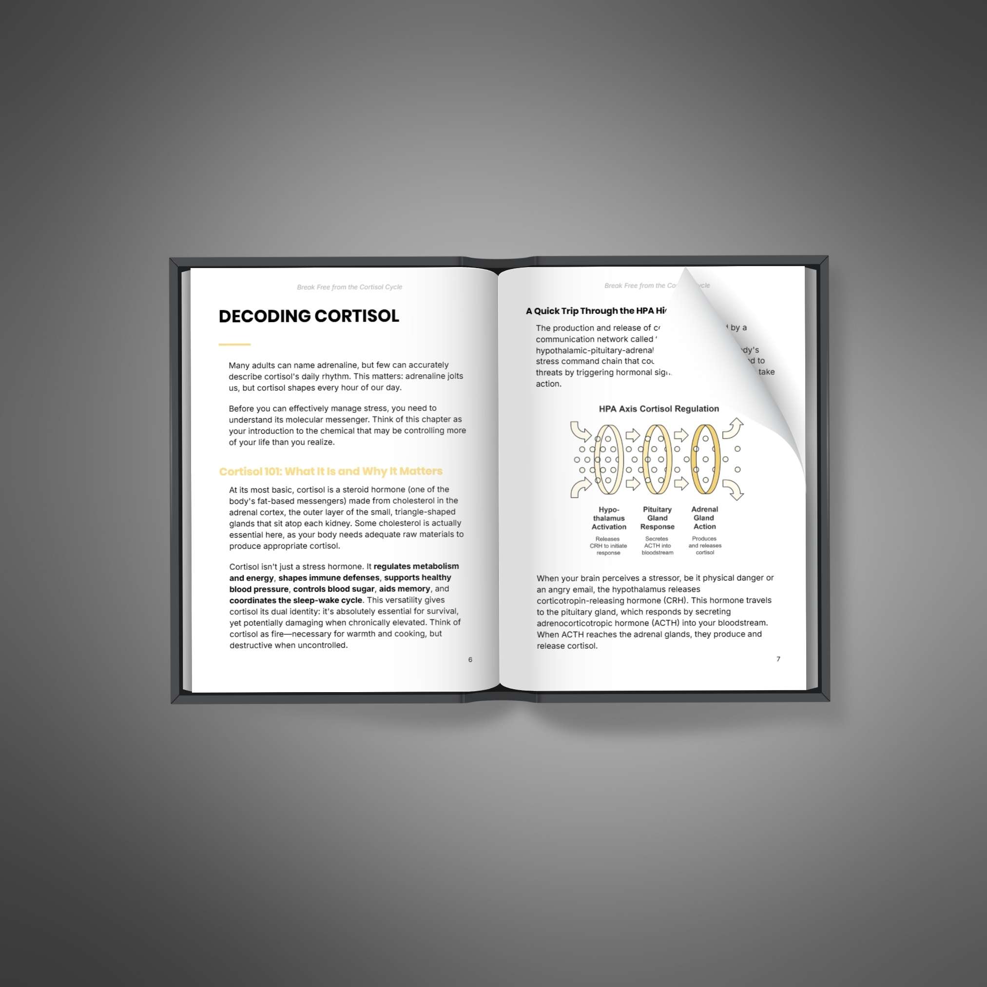 Break-Free-from-the-Cortisol-Cycle---Ebook2 Break Free from the Cortisol Cycle - Image 3