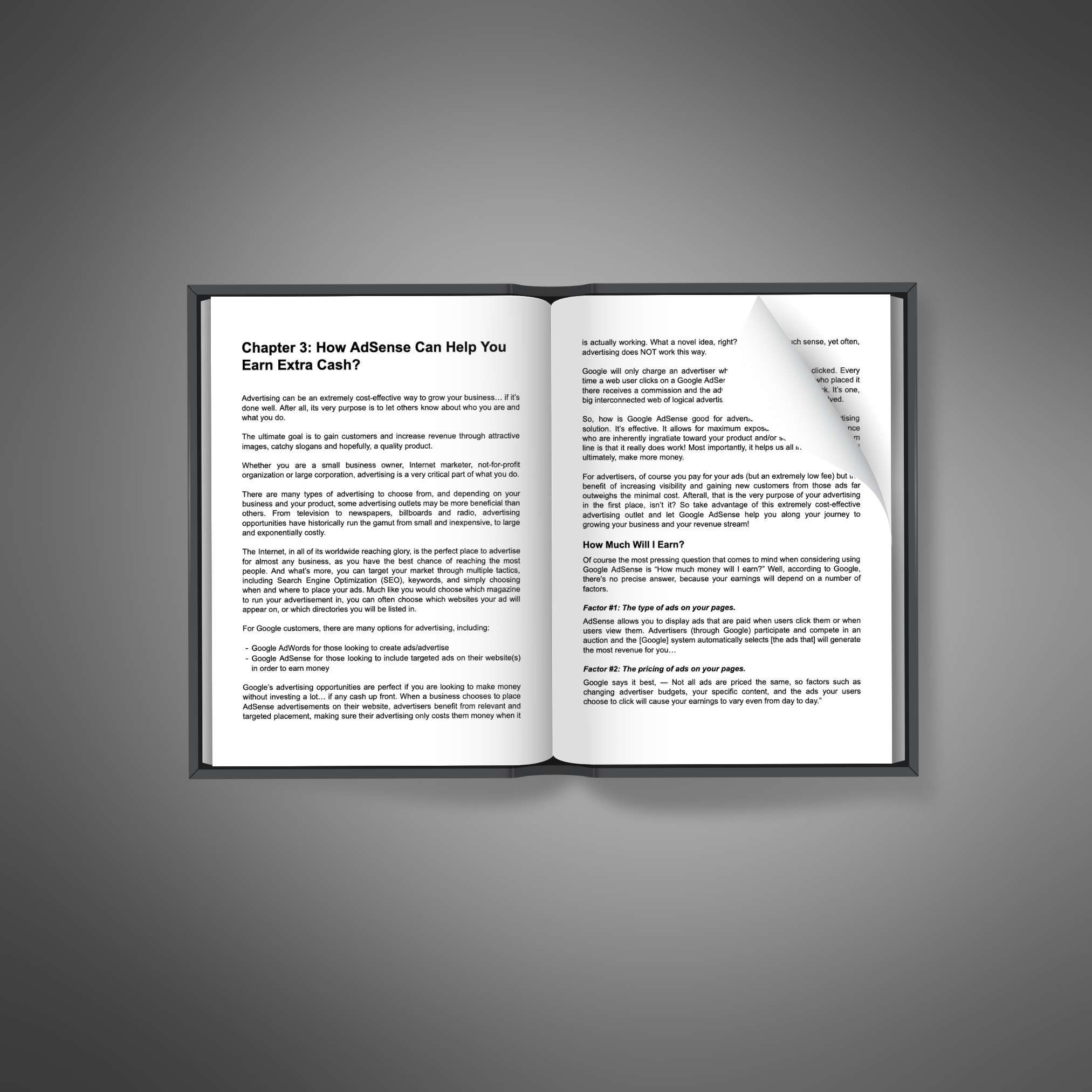 AdSense Mastery2 AdSense Mastery Ebook - Image 2