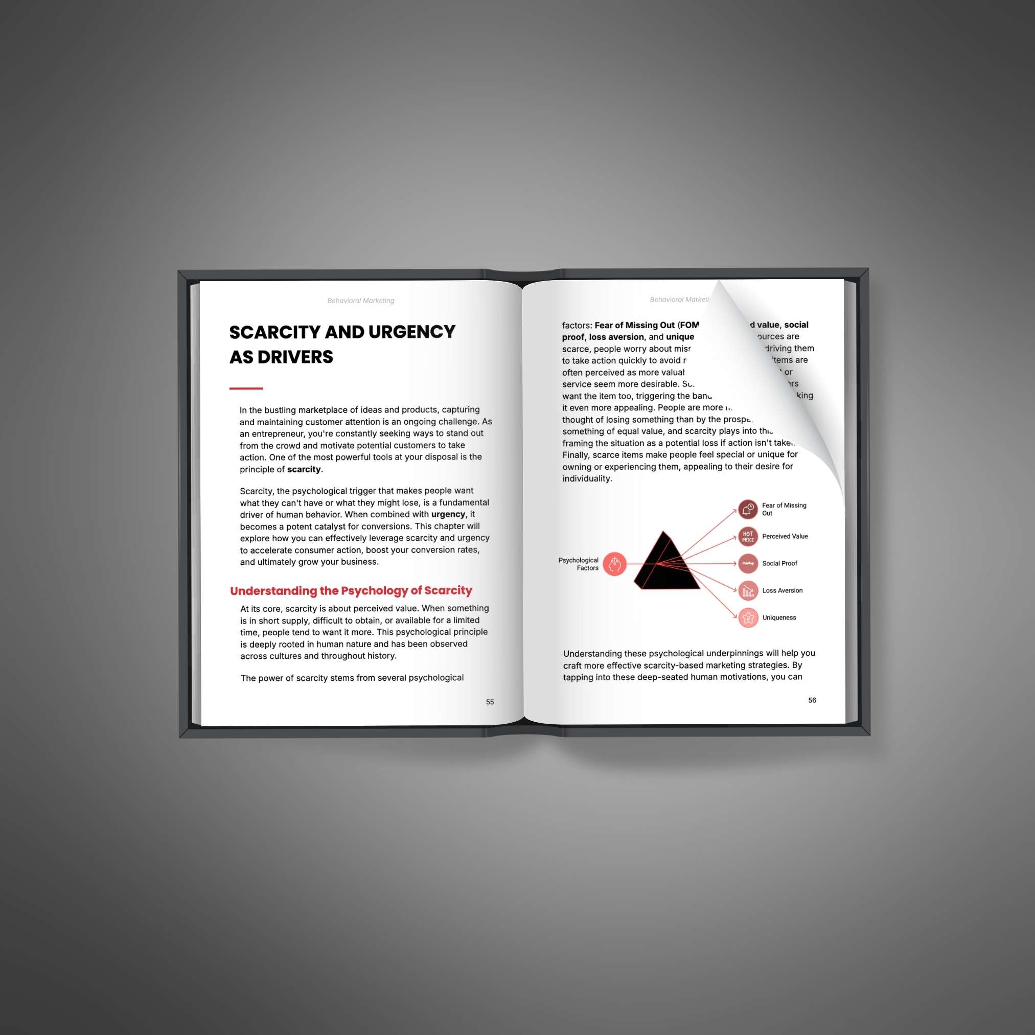 Behavioraaal Marketing2 Behavioral Marketing - Ebook - Image 2