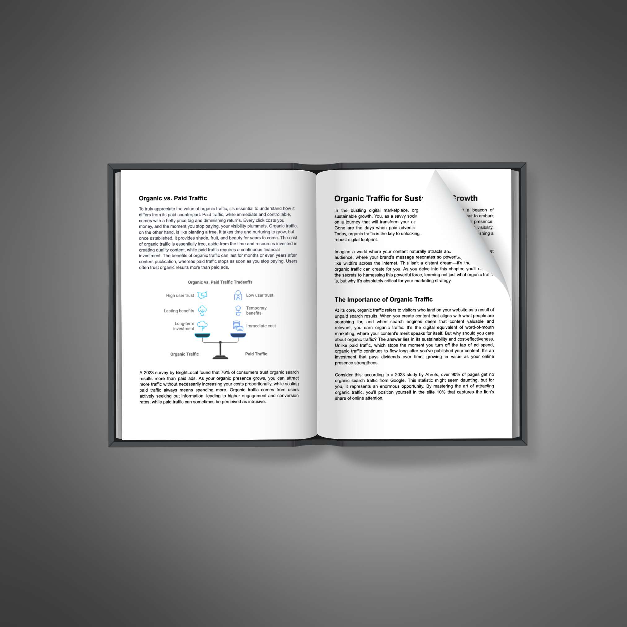 Mastering Organic Traffic2 Mastering Organic Traffic Ebook - Image 2