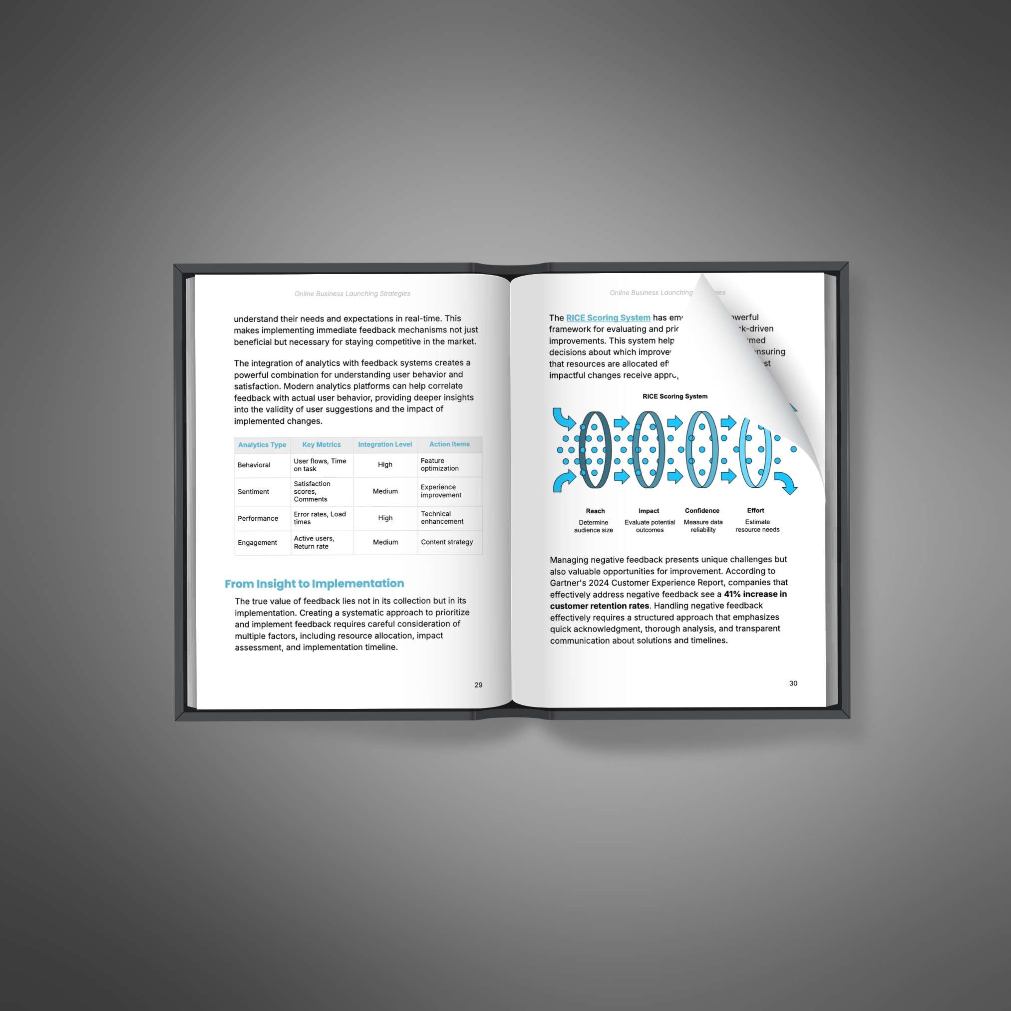 Online Business Launching Strategies - Book2 Online Business Launching Strategies - Ebook - Image 2