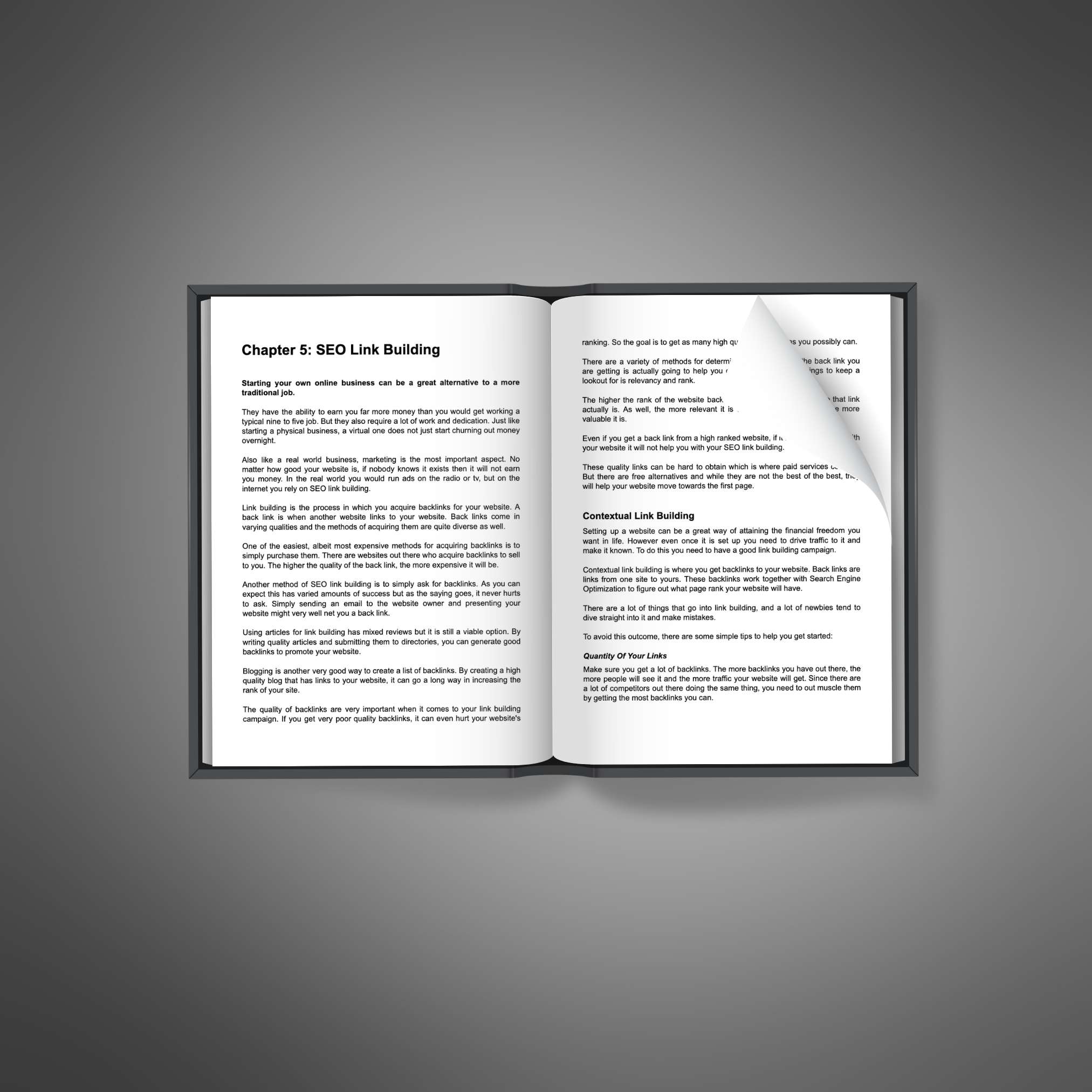 Search Engine Optimization2 Search Engine Optimization Ebook - Image 2