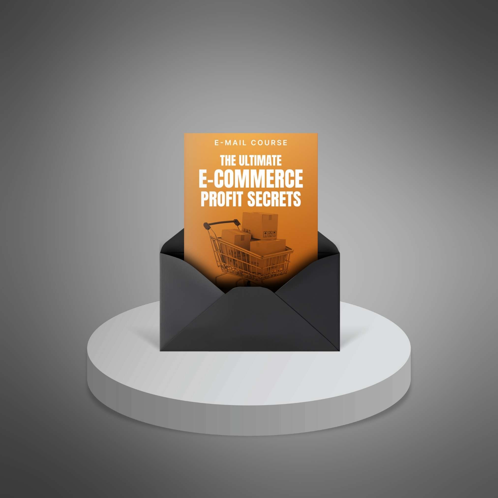 The Ultimate E-Commerce Profit Secrets - Mini-Course1 The Ultimate E-Commerce Profit Secrets