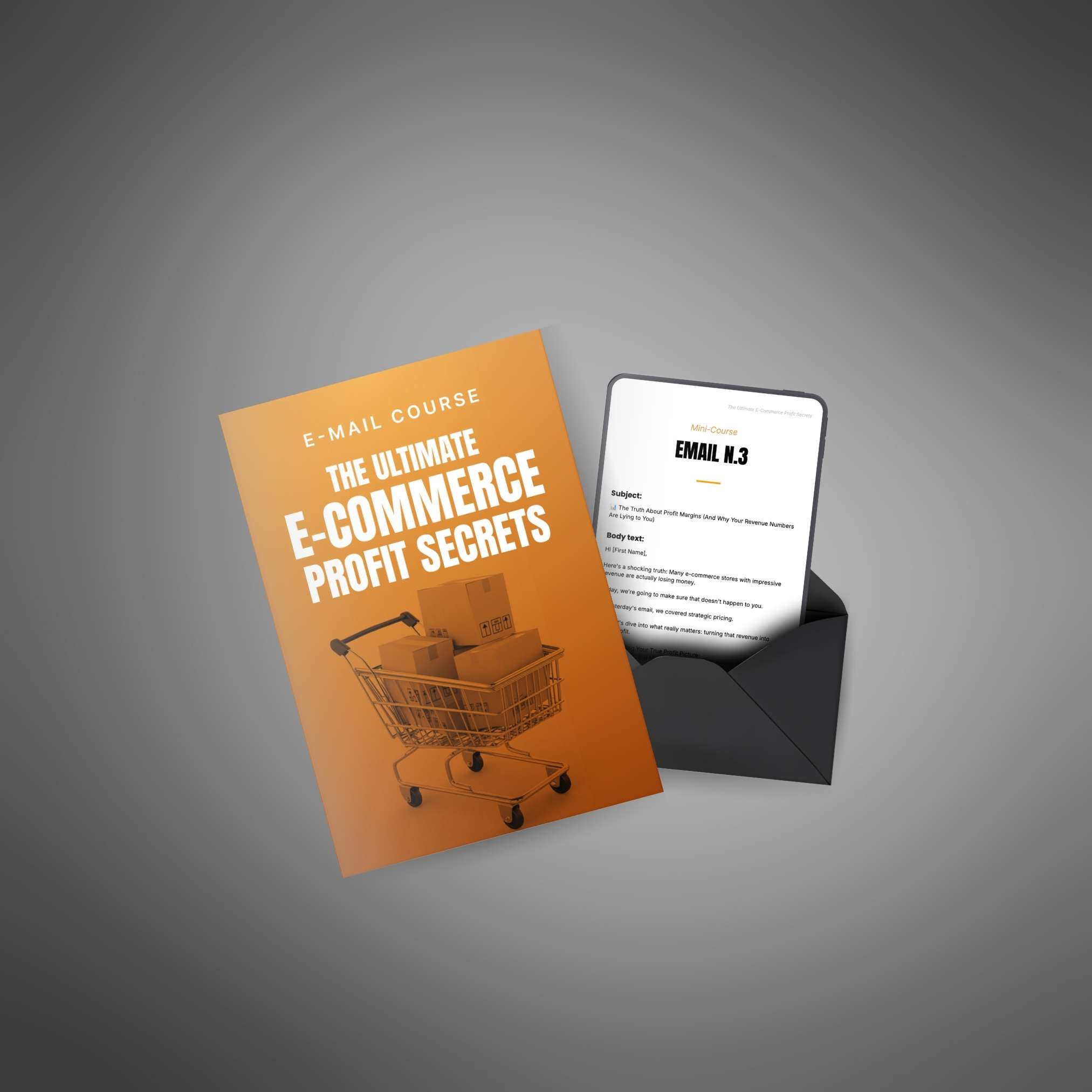 The Ultimate E-Commerce Profit Secrets - Mini-Course3 The Ultimate E-Commerce Profit Secrets Email Course - Image 3